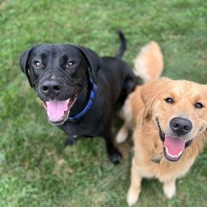 Meet your Posher, Chloe